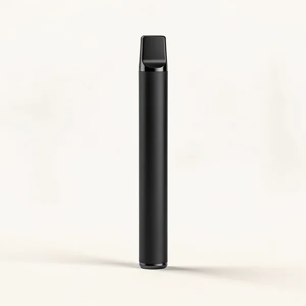 Einweg Vape, kompaktes Beispielgerät in Schwarz